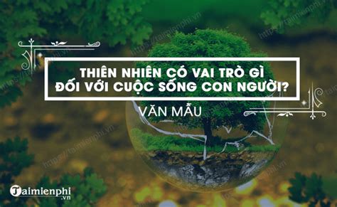 Bão Lụt 756: Cuộc Đụng Đoạn Của Thiên Nhiên Và Chế Độ Phân quyền